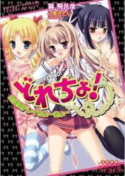 [Novel] どれちょ！ 生徒会ドレイちょーきょー [Dore-cho! Seitokai Dorei Choukyou]