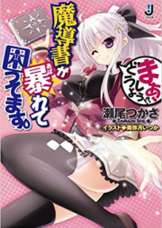 [Novel] 魔導書が暴れて困ってます。 raw 第01-03巻 [Madousho ga Abarete Komattemasu.vol 01-03]