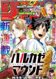 週刊少年ジャンプ 2025年29号 [Weekly Shonen Jump 2025-29]