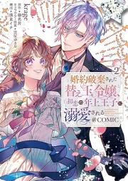 婚約破棄された替え玉令嬢、初恋の年上王子に溺愛される@COMIC raw 第01-02巻 [Konyaku Haki Sareta Kaedama Reijo Hatsukoi No Toshiue Oji Ni Dekiai Sareru @COMIC vol 01-02]