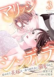 マリッジシンデレラ 拾われた花嫁は一途な副社長に溺愛される raw 第01-03巻