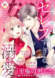 comic tint vol.90-91