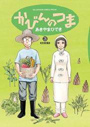 かびんのつま raw 第01-03巻 [Kabin no Tsuma vol 01-03]