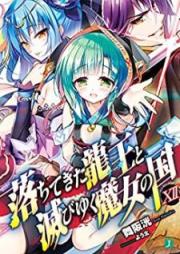 [Novel] 落ちてきた龍王と滅びゆく魔女の国 raw 第01-12巻 [Ochitekita Naga to Horobiyuku Majo no Kuni vol 01-12]