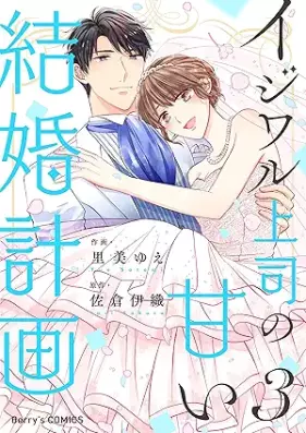 イジワル上司の甘い結婚計画 第01-03巻 [Ijiwaru joshi no amai kekkon keikaku vol 01-03]