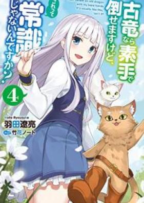 [Novel] 古竜なら素手で倒せますけど、これって常識じゃないんですか？ 第01-04巻 [Koryu Nara Sude de Taosemasu Kedo Kore tte Joshiki ja Naindesuka vol 01-04]