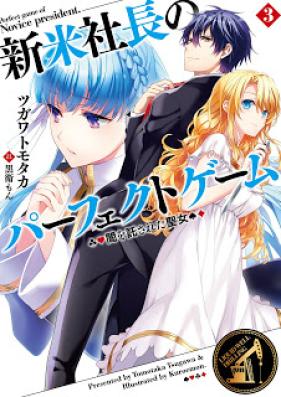 [Novel] 新米社長のパーフェクトゲーム 第01-03巻 [Shinmai No Perfect Game vol 01-03]
